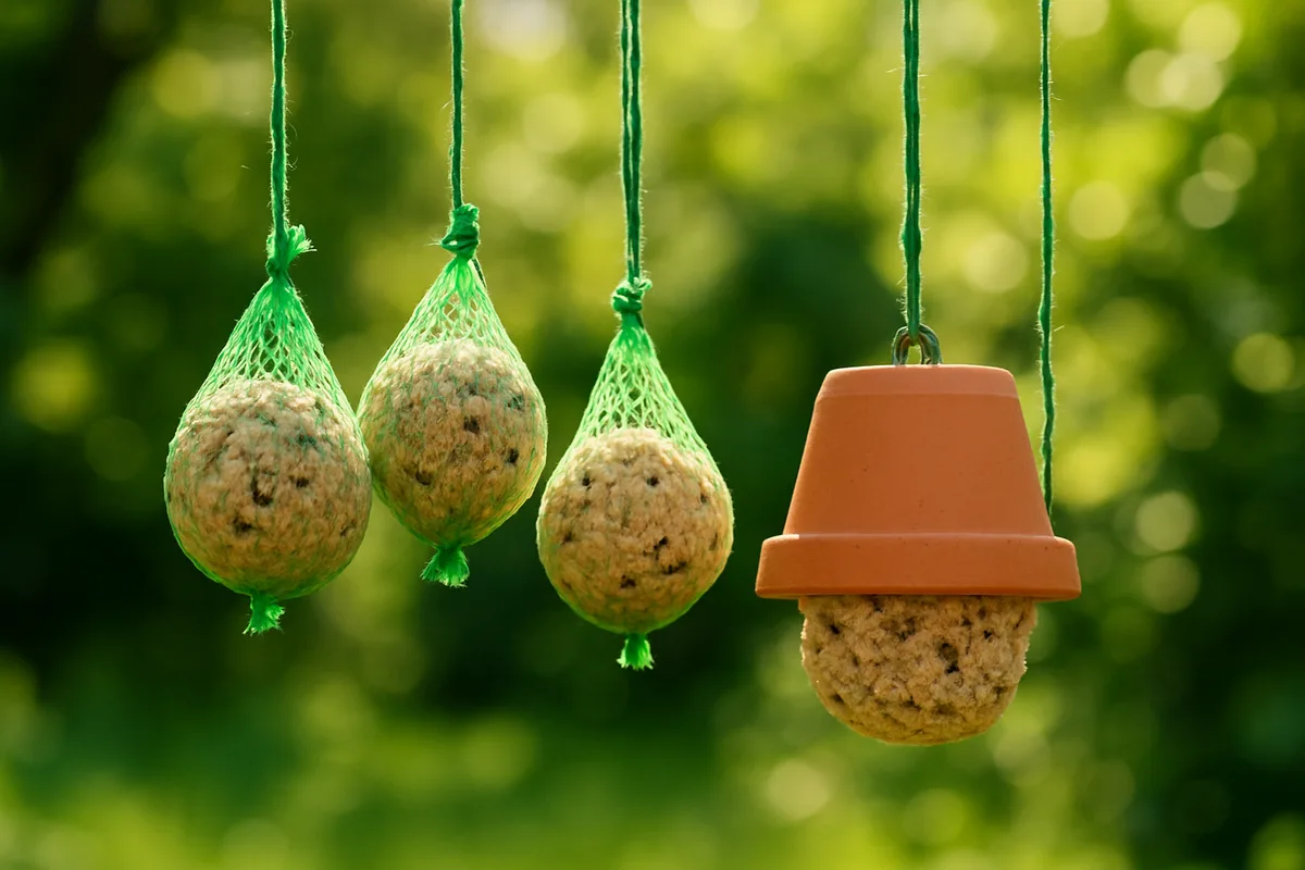 Selbstgemachte Meisenknödel hängen im Garten